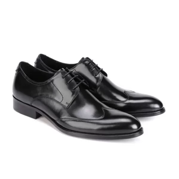 Altino Wingtip Derby Shoe