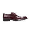 Altino Wingtip Derby Shoe