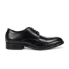 Bundoran Wingtip Derby Shoe