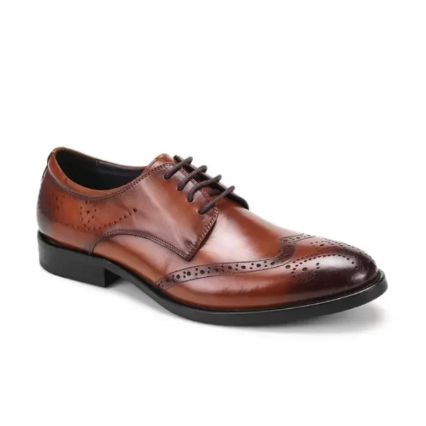 ASD25830BR-1-1.webp Bundoran Wingtip Derby Shoe